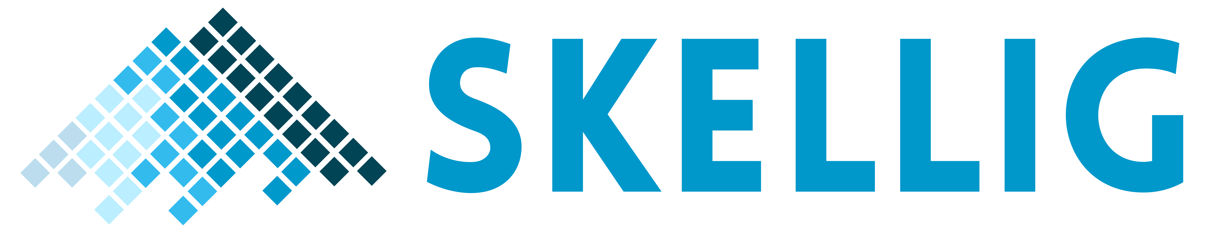 Skellig Automation Logo 1